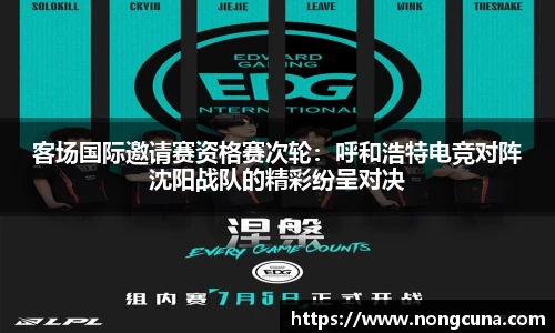 绿茵免费体育直播无插件