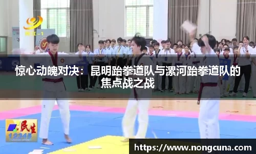 绿茵免费体育直播无插件
